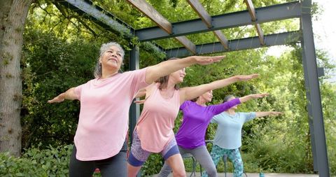 Senior Group Enjoying Yoga Outdoors in Tranquil Environment