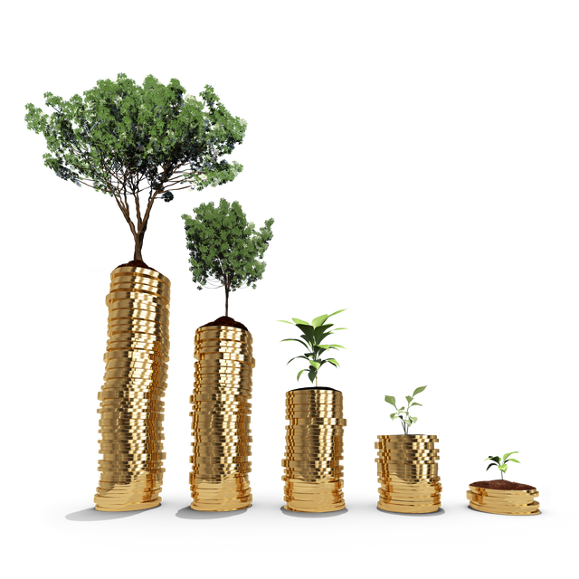 Illustration featuring stacks of coins growing larger with the different stages of plant to tree growth symbolizes the concept of investment, financial growth, and wealth increasing progressively. Apt for finance-related articles, investment brochures, and the promotion of eco-friendly business practices.