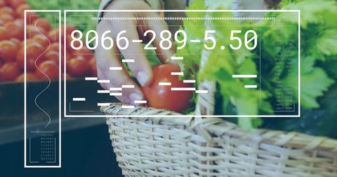 Shoppers Hand Picking Ripe Tomato From Wicker Basket With Fresh Lettuce At Farmers Market