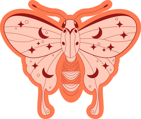 Transparent Flat Design Butterfly with Celestial Patterns - Download Free Stock Videos Pikwizard.com