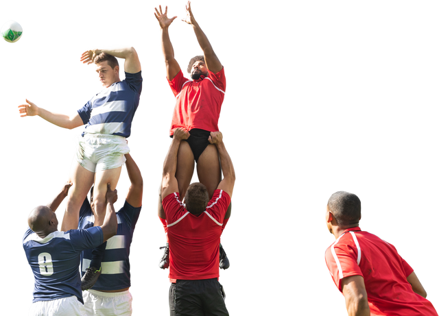 Diverse Rugby Players Amidst Leaping for the Ball with Isolated Transparent Background - Download Free Stock Videos Pikwizard.com