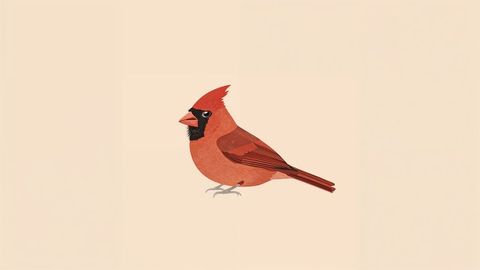 Illustration of North American Red Cardinal on Beige Background