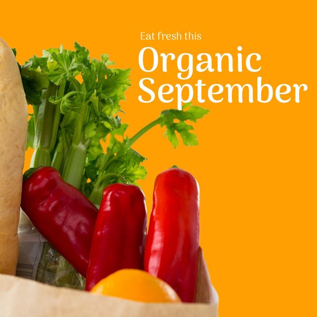 Composite of celery, jalapeno, bread in bag with eat fresh this organic september text, copy space. Orange background, vegetable, organic food, farming, healthcare, awareness and campaign concept.