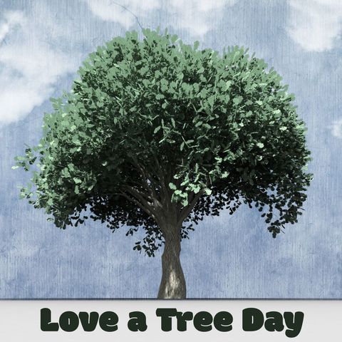 Celebrating Nature with Solitary Tree for Environmental Awareness - Download Free Stock Templates Pikwizard.com