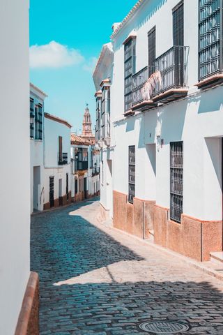 Quaint Andalusian Street with Cobblestone Pathway and Traditional Architecture