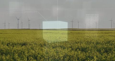 Digital ecology data visualization with wind turbines
