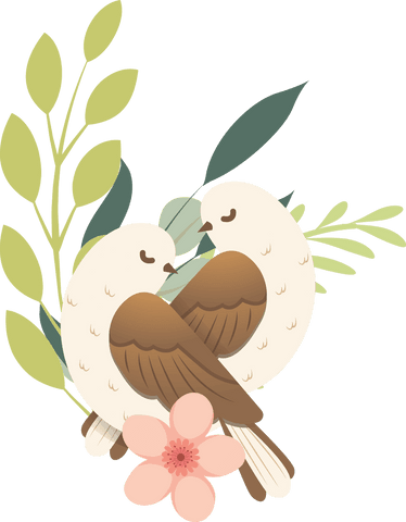 lovey dovey birds: minimalist illustration on transparent background - Download Free Stock Videos Pikwizard.com