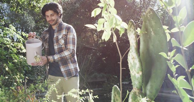Young man in a flannel shirt and khaki pants watering plants in a lush garden with sunlight streaming through. The scene suggests leisurely gardening activities and appreciation for nature. Useful for themes related to outdoor hobbies, gardening, eco-friendly lifestyles, and relaxation.