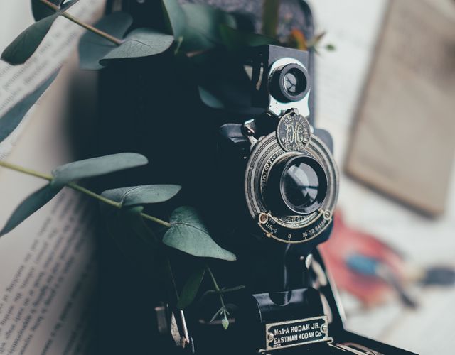 Vintage camera surrounded by eucalyptus leaves evokes nostalgia and appreciation for classic photography equipment. Ideal for use in photography blogs, retro-themed designs, or vintage decoration projects.