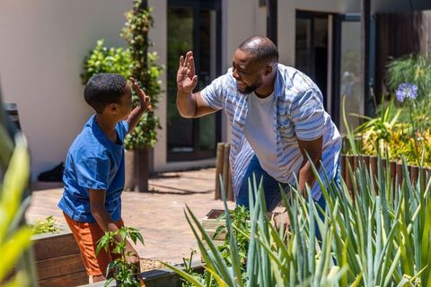 African american father and son high-fiving while gardening in sunny backyard raised beds
