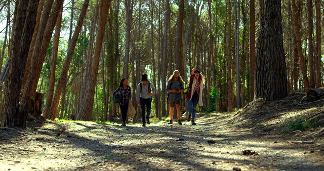 A group of friends enjoys hiking in a sunlit forest trail, surrounded by tall trees and natural scenery. This image is perfect for illustrating themes of friendship, adventure, outdoor activities, nature exploration, and healthy lifestyles. It can be used in travel brochures, outdoor activity promotions, health and wellness campaigns, and social media posts about hiking and nature trips.