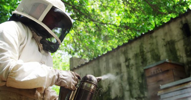 Beekeeper Using Smoker to Calm Honey Bees in Close-Up Outdoor Shot - Download Free Stock Images Pikwizard.com