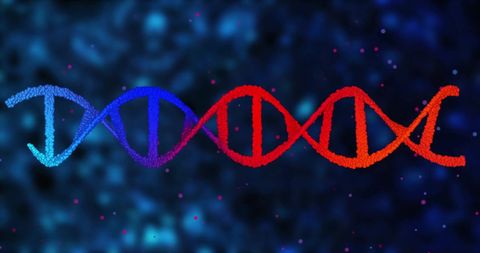 Vibrant DNA Strand on Abstract Digital Background - Download Free Stock Images Pikwizard.com