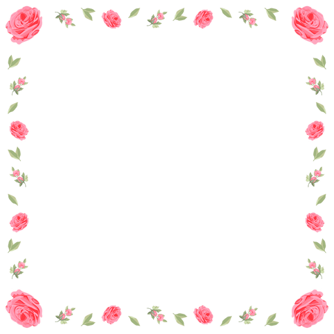 rose border with pink buds on transparent background for elegant decor - Download Free Stock Videos Pikwizard.com