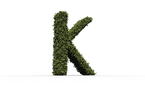 Leafy Letter K Illustrating Eco-Friendly Design on Transparent Background - Download Free Stock Videos Pikwizard.com