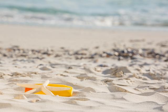 Sunscreen Lotion, Starfish, and Sea Shells on Sandy Beach - Download Free Stock Photos Pikwizard.com
