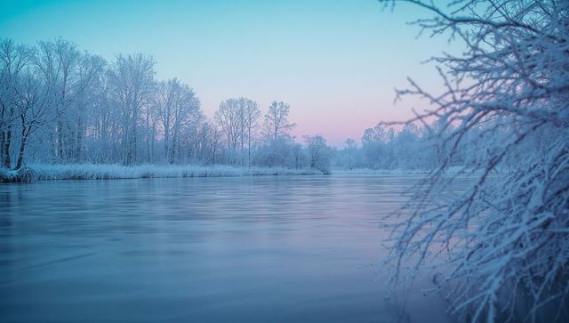 Serene Winter River with Frosted Trees at Dusk