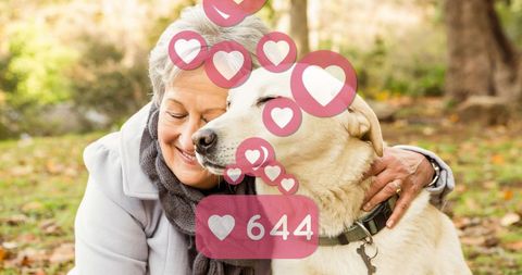 Senior Loving Pet Dog Outdoors with Social Media Engagement Icons - Download Free Stock Images Pikwizard.com