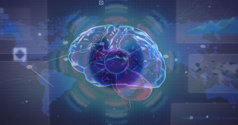 Digital Visualization of Human Brain and Global Data Integration - Download Free Stock Images Pikwizard.com