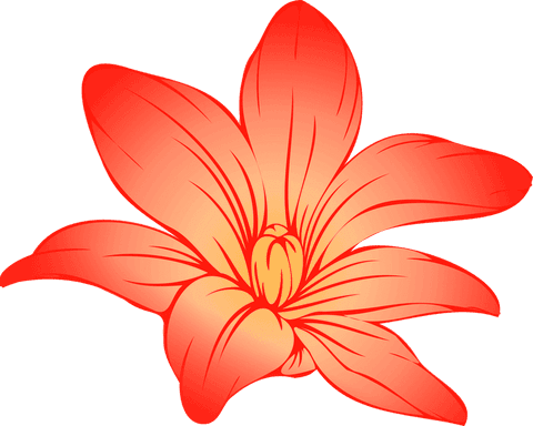Vibrant six-petal lily blossom illustration with transparent background