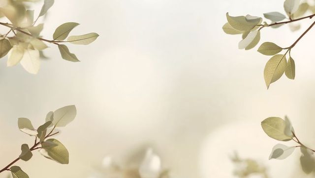 Framing pale green leaves with soft bokeh backdrop, backlit botanical minimal composition