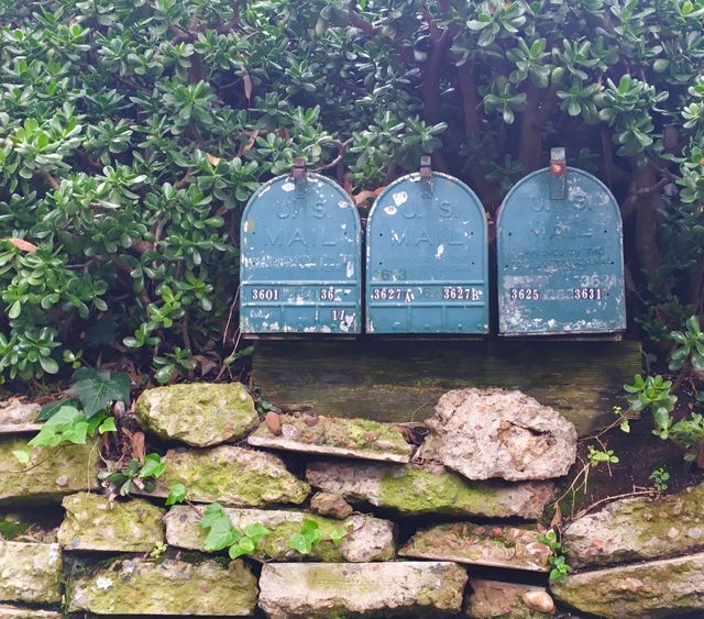 Vintage Mailboxes in Garden Displaying Rustic Charm - Download Free Stock Photos Pikwizard.com