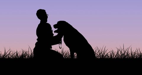 This heartwarming scene shows a person and dog sharing a moment in a grass field while the sky transitions with orange and purple hues, symbolizing loyalty and companionship. Suitable for topics related to outdoor activities, pet care, and emotional connections between pets and owners, emphasizing tranquility and bond.