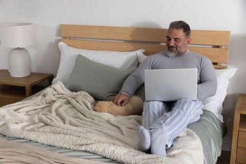 Mature man working in bed with laptop while petting dog, cozy home office bedroom