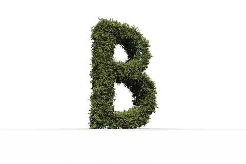 Transparent Leafy Letter B Design for Nature Themes - Download Free Stock Videos Pikwizard.com