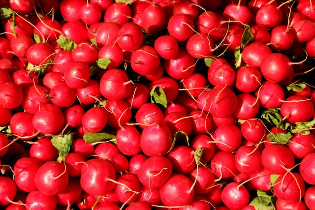 This image of fresh red radishes is ideal for use in food-related content, highlighting the abundance and vibrancy of farmers market produce. Perfect for health and nutrition blogs, cooking and recipe sites, or agricultural marketing materials. The bright reds and lush greens create a visually appealing background.