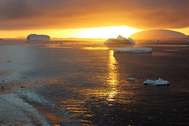 A breathtaking scene of the Arctic captured during the golden hour, where floating icebergs reflect the glowing sunset in a serene and calm sea. This image is ideal for use in nature photography collections, climate change awareness campaigns, travel brochures, and websites focusing on environmental conservation.