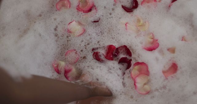Rose petals floating on a bubbly foam bath. Ideal for themes focused on relaxation, spa experiences, self-care routines, wellness, and luxury baths. Perfect for use in marketing materials for bath products, spa services, or relaxation therapies.