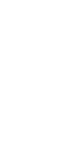 Boxer in Victory Pose on Transparent Background for Sport Designs