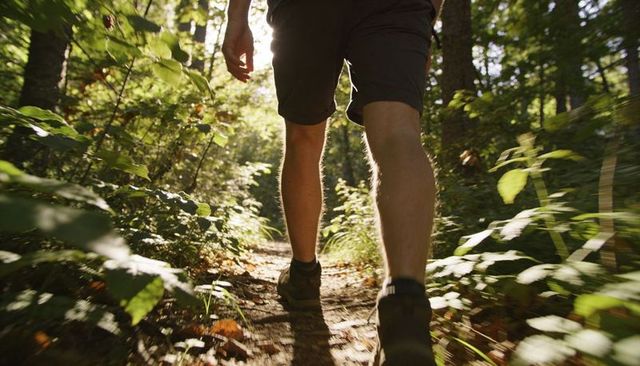 Morning sunlit forest trail walking close-up of hiker legs on leaf-strewn woodland path