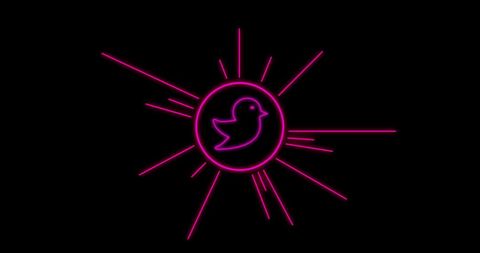neon twitter icon on black background symbolizing digital communication - Download Free Stock Images Pikwizard.com