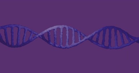 3D DNA Double Helix on Purple Background Illustrating Molecular Structure