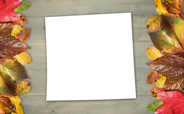 Transparent Autumn Leaves Photo Frame on Wooden Background - Download Free Stock Videos Pikwizard.com