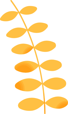 Gradient Yellow Leaves on Transparent Background Vector