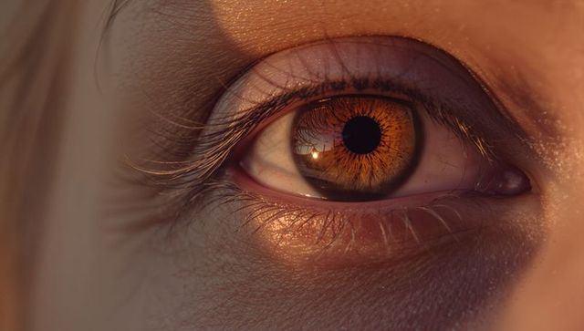 Amber iris macro closeup showing reflective cornea and detailed lashes in warm light