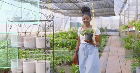 Woman caring for plants in nursery greenhouse