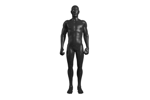 digital human figure concept on transparent background - Download Free Stock Videos Pikwizard.com