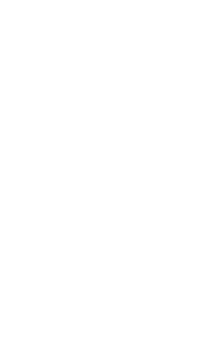 Silhouette Sportsman Raising Fists in Victory Transparent - Download Free Stock Videos Pikwizard.com