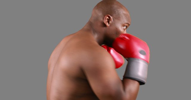 Professional Boxer Wearing Red Boxing Gloves in Fighting Stance - Download Free Stock Images Pikwizard.com