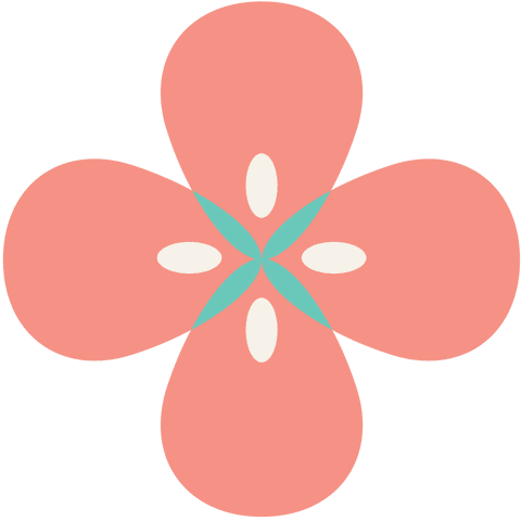 Flat Pink Floral Design on Transparent Background for Creative Projects - Download Free Stock Videos Pikwizard.com