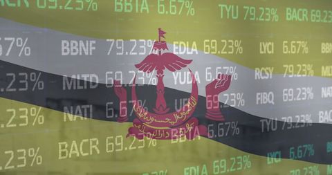 Brunei flag overlayed on stock market financial data