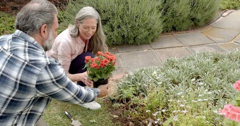 Senior Couple Planting Red Flowers Together in Garden