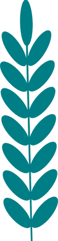 Minimalist teal botanical sprig on transparent background