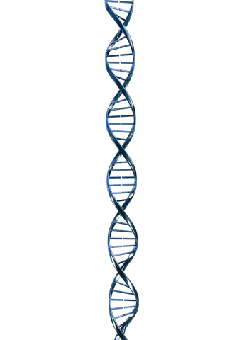 transparent dna strand vector illustration on blank background - Download Free Stock Videos Pikwizard.com