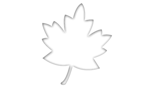 black silhouette of maple leaf on transparent background - Download Free Stock Videos Pikwizard.com