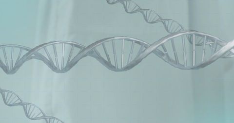 Digital Interface Showing DNA Strands and Stethoscope Interaction